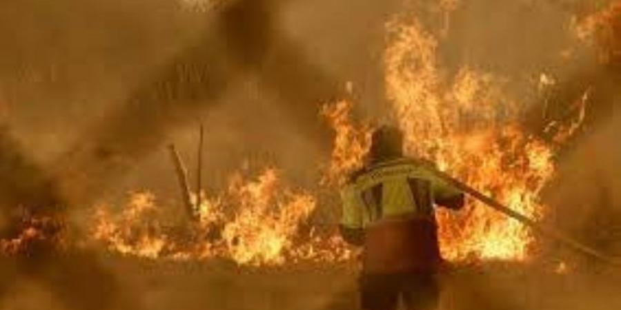 مديرة الدفاع المدني الإسباني: نهاية الحرائق اقتربت في إسبانيا