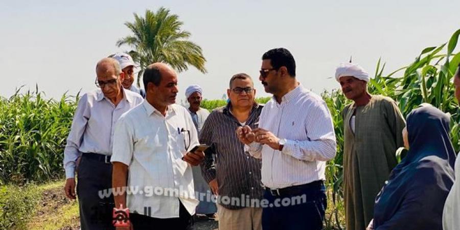 وكيل زراعة سوهاج يتفقد زراعات دوار الشمس والطماطم بكوم بدر