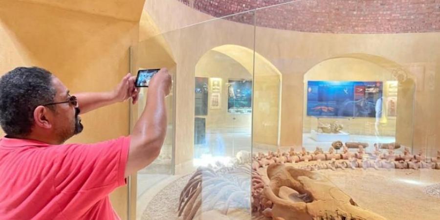 400 هيكل لكائنات بحرية عمرها 40 مليون سنة في متحف بمصر