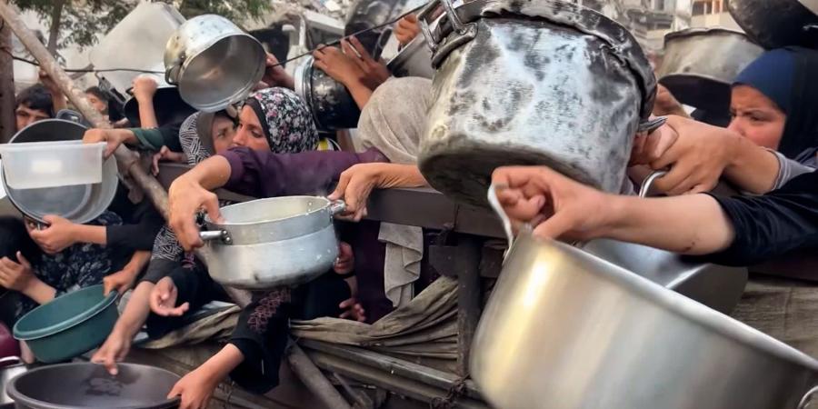 شهداء الجوع في غزة.. 8 وفيات جديدة نتيجة المجاعة والإجمالي يرتفع إلى 289