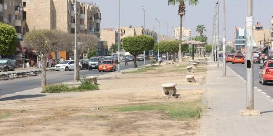 تطوير شبكة ري المسطحات الخضراء بالإسماعيلية