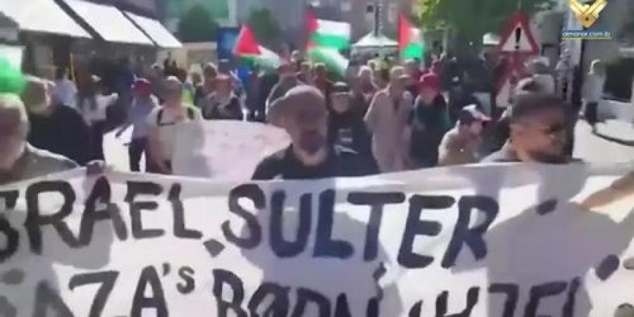 مسيرات تضامنية في دول غربية بمناسبة اليوم العالمي لإعلان مساندة غزة