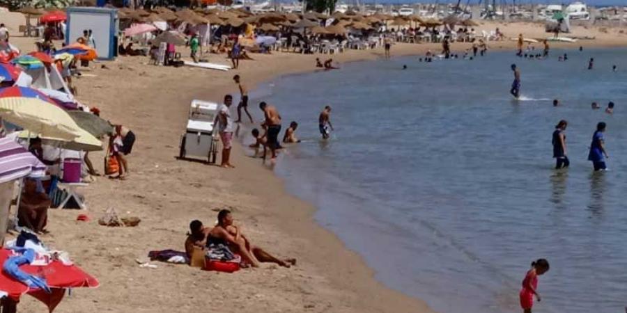 همس الموج: شاطئ سيدي بوسعيد: سحر البحر والجبل