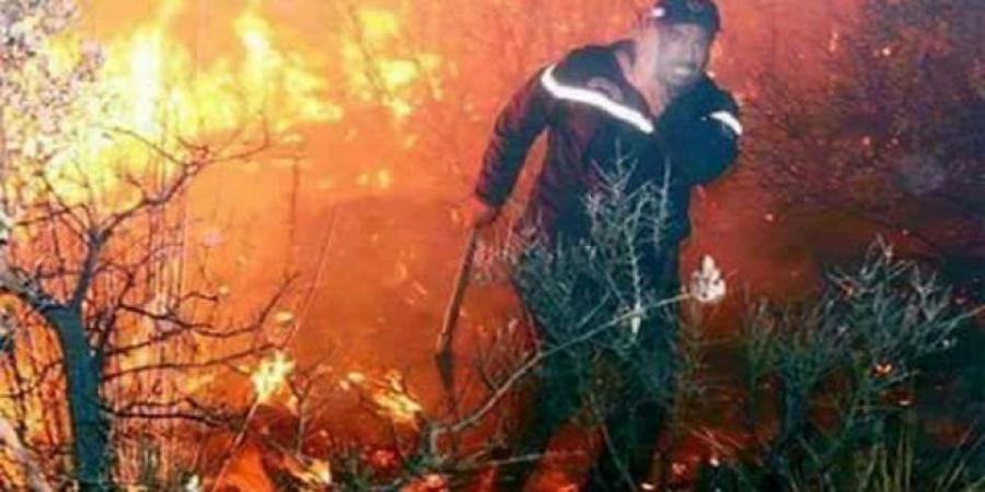 الحماية المدنية: اعتماد الذكاء الاصطناعي لتحديد مواقع الحوادث والتدخل..