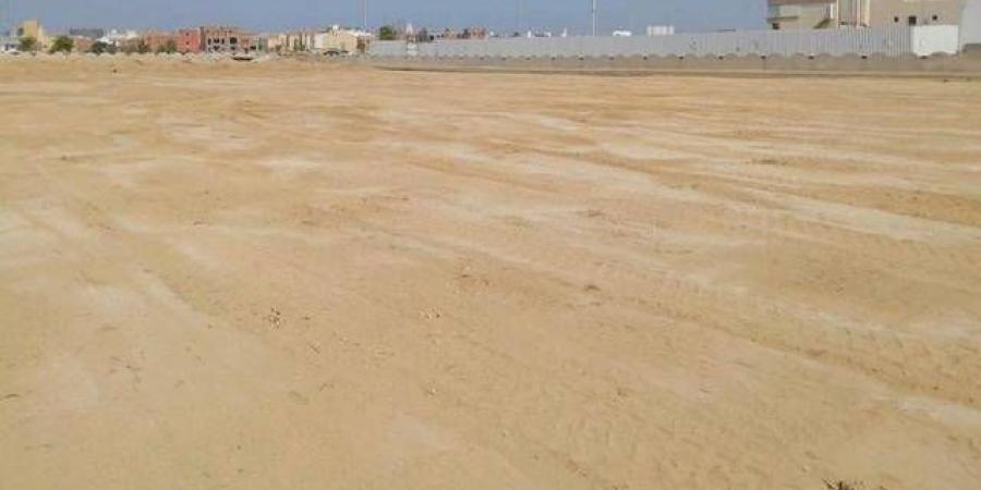 تفاصيل اللائحة التنفيذية لرسوم الأراضي البيضاء بعد نشرها بالجريدة الرسمية