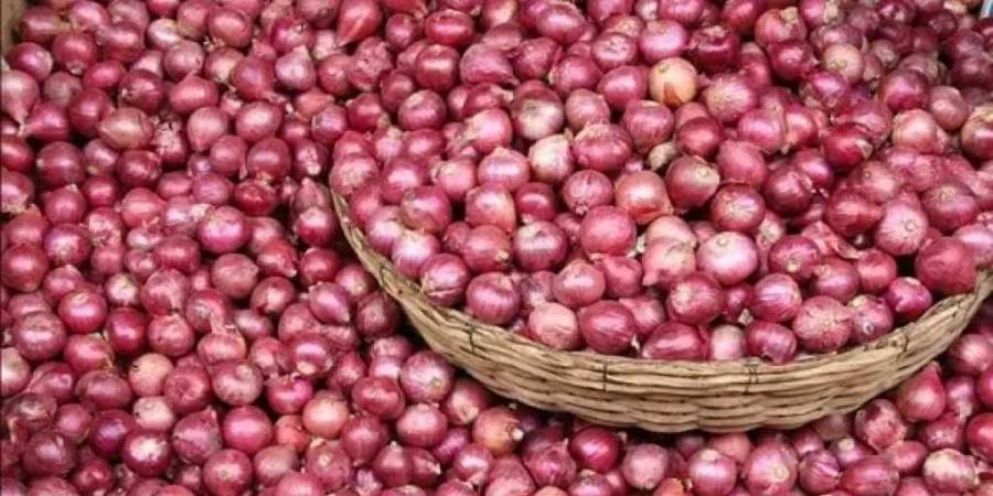مصر الثالثة عالميا في تصدير البصل المجفف