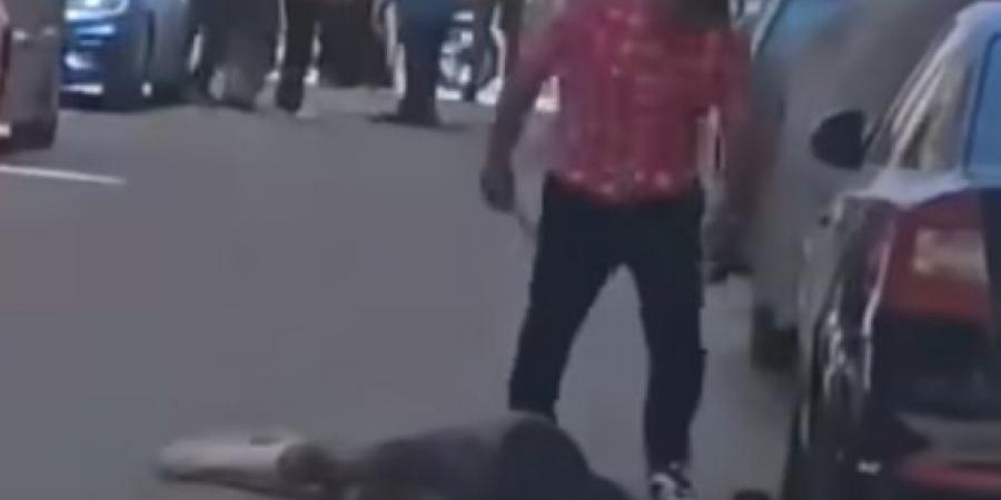 اخرس.. يذبح زميله أمام الماره فى كفرالشيخ