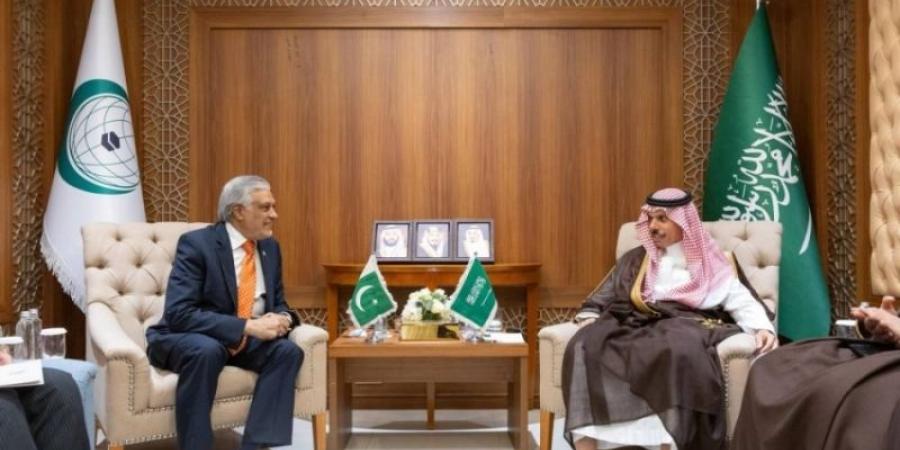 وزير الخارجية ووزير خارجية باكستان يبحثان المستجدات الإقليمية والدولية وفي مقدمتها المستجدات في قطاع غزة