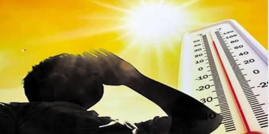 منظمة الصحة العالمية: أكثر من 2.4 مليار عامل يواجهون خطر الحرارة المفرطة يومياً