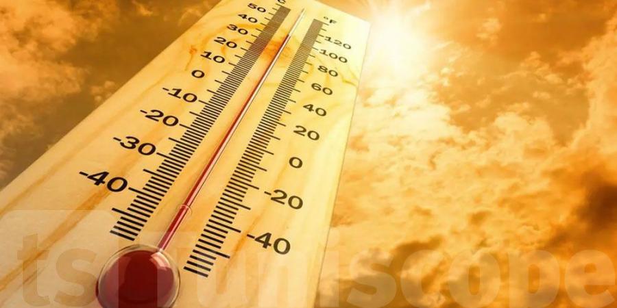 ارتفاع طفيف في الحرارة مع ظهور الشهيلي محلياً