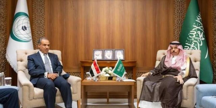 السعودية ومصر تبحثان تداعيات العدوان الإسرائيلى على غزة