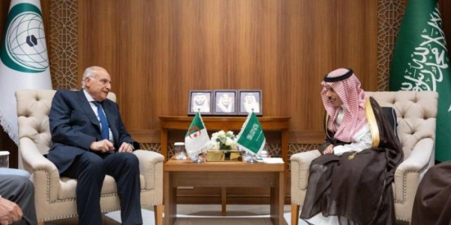 وزير الخارجية يلتقي وزير خارجية الجزائر