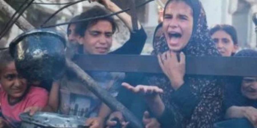 جارديان: إعلان المجاعة فى غزة يكشف تجاهل الاحتلال الإسرائيلى للواجب الإنسانى