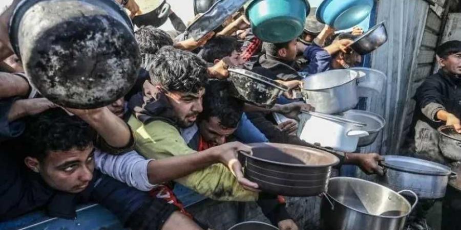 منظمة التعاون الإسلامي: إعلان المجاعة في غزة جريمة حرب تستدعي تحركا دوليا عاجلا