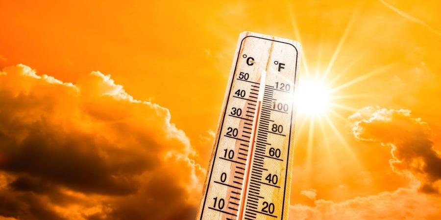 نصف سكان العالم تحت تهديد "كارثة صحية" بسبب موجات الحر