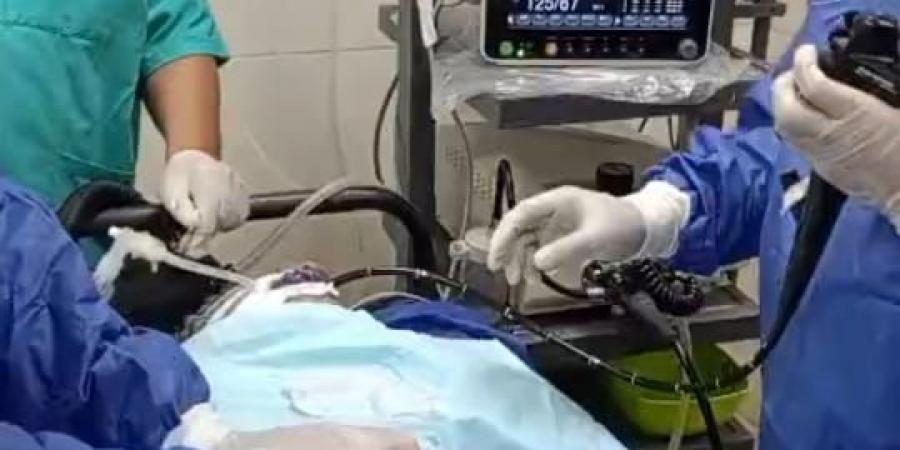 «حميات منوف» تنقذ مرضى الجلطات بطريقة حديثة دون جراحة