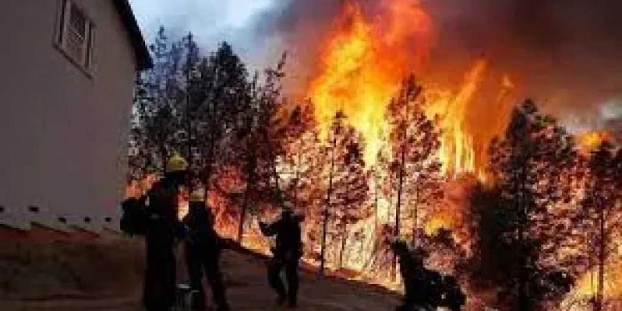 حريق غابات في ولاية أوريجون الأمريكية يدمر 4 منازل ويهدد الآلاف