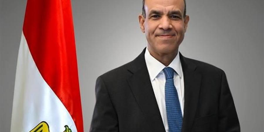 وزير الخارجية: استهداف السفارات المصرية اعتداء على السيادة ويخدم أجندات مشبوهة