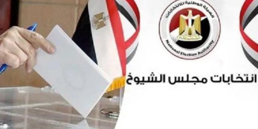 بدء التصويت بسفارات مصر بأمريكا وكندا في الإعادة بانتخابات مجلس الشيوخ