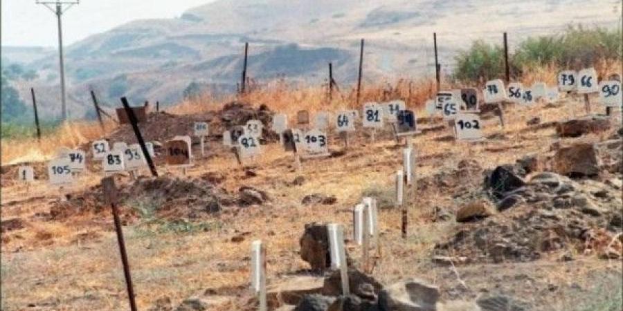 بينهم 67 طفلاً.. الاحتلال يحتجز جثامين 726 شهيداً في الثلاجات ومقابر الأرقام