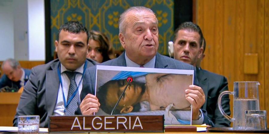 باستثناء الولايات المتحدة… أعضاء مجلس الأمن يدعون إلى هدنة فورية وغير مشروطة في غزة