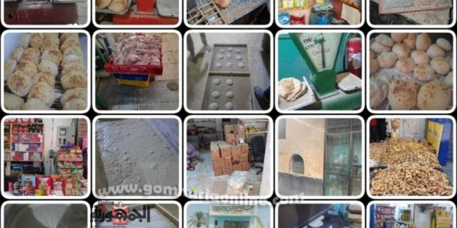 تحرير 370 مخالفة تموينية خلال حملات لضبط الاسواق بالقليوبية 