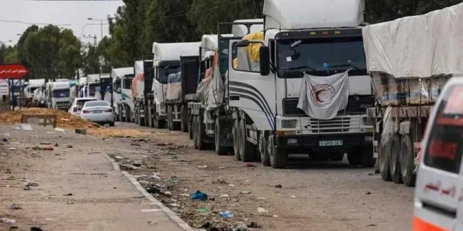القبض على 4 طلاب متهمين بالإساءة إلى المارة في القاهرة