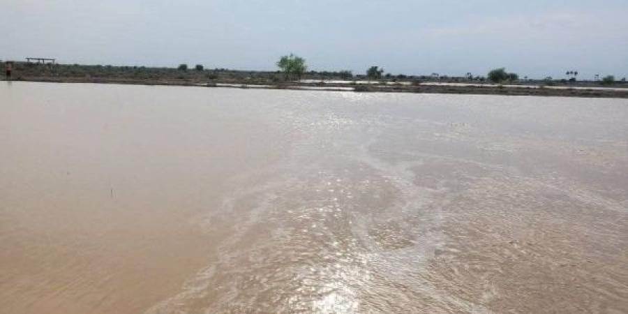 حضرموت.. وفاة مواطن جراء السيول والأمطار ونفوق 160 رأسا من المواشي
