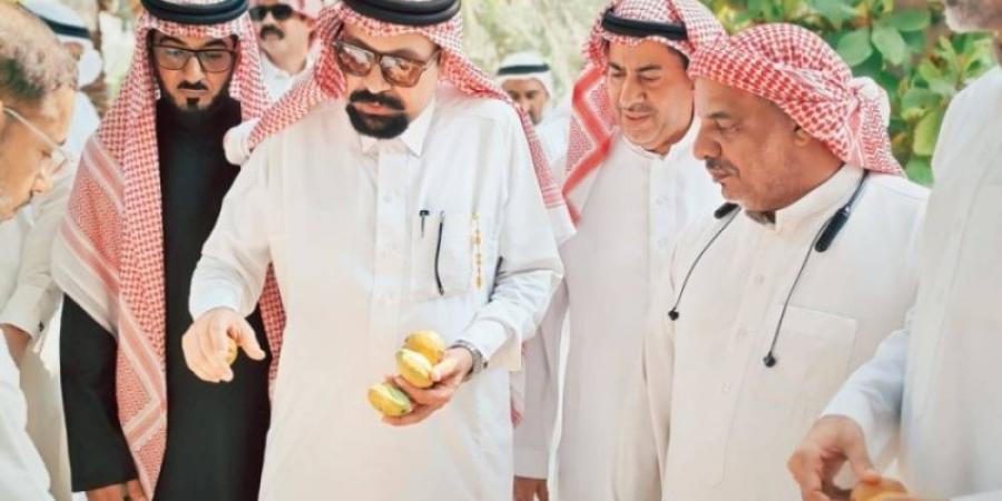 من المزرعة إلى الصناعة.. جولة ميدانية تفتح آفاقًا جديدة أمام اللوز القطيفي
