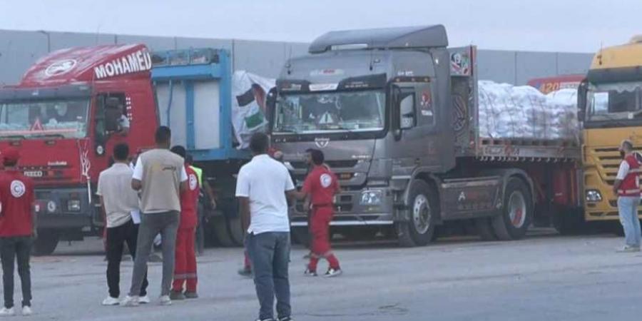 الهلال الأحمر المصري يدفع بأكثر من 1500 طن مساعدات لغزة