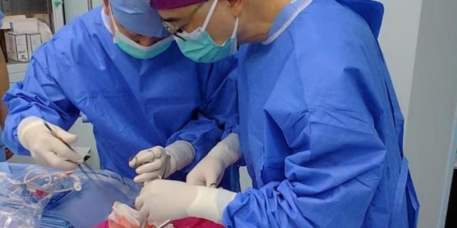 تطور طبي فوق مستوى الخيال.. أول زراعة ناجحة لـ"رئة خنزير في صدر إنسان"
