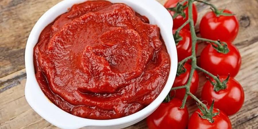 «تنمية الصعيد» تنشئ مصنعاً لمعجون الطماطم على 12 فداناً فى «أسيوط»