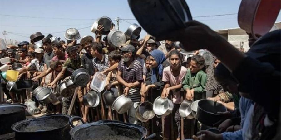 إسرائيل تكثِّف القتل والتجويع في غزة مع اجتماع ترامب